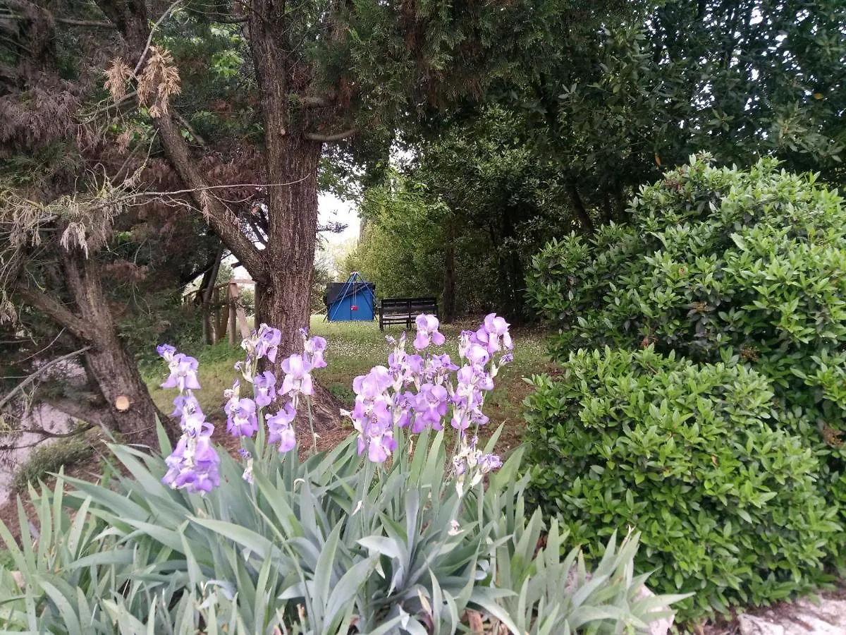 شقة Agriturismo La Fornace Di Rossi Stefano Belvedere